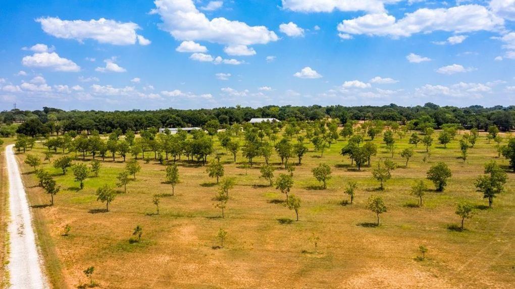 Pecan Farm Haus Fredericksburg Exteriör bild